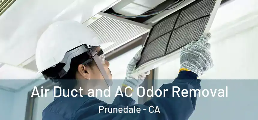 Air Duct and AC Odor Removal Prunedale - CA