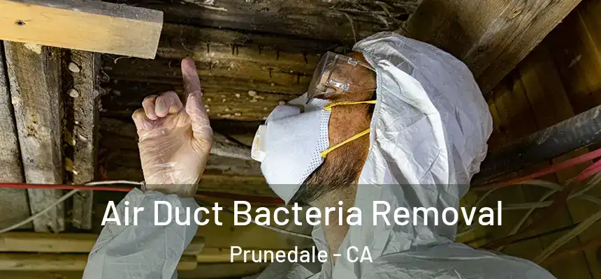 Air Duct Bacteria Removal Prunedale - CA
