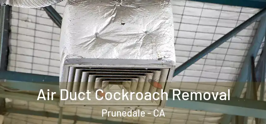 Air Duct Cockroach Removal Prunedale - CA