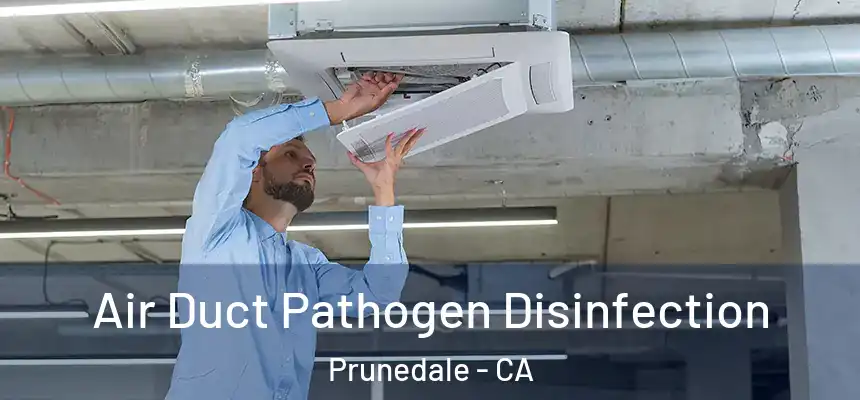 Air Duct Pathogen Disinfection Prunedale - CA