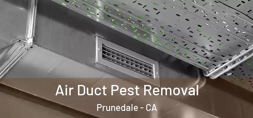 Air Duct Pest Removal Prunedale - CA
