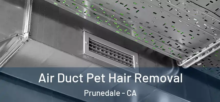 Air Duct Pet Hair Removal Prunedale - CA