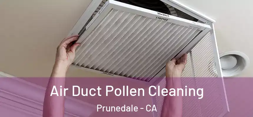 Air Duct Pollen Cleaning Prunedale - CA
