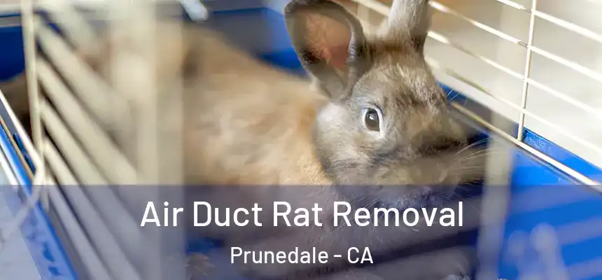 Air Duct Rat Removal Prunedale - CA