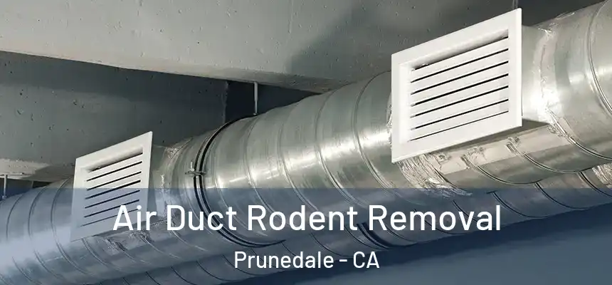 Air Duct Rodent Removal Prunedale - CA