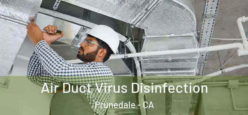 Air Duct Virus Disinfection Prunedale - CA