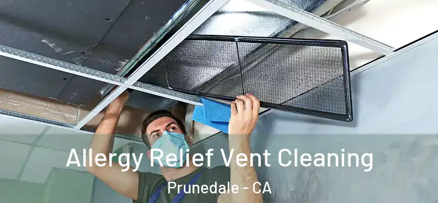 Allergy Relief Vent Cleaning Prunedale - CA