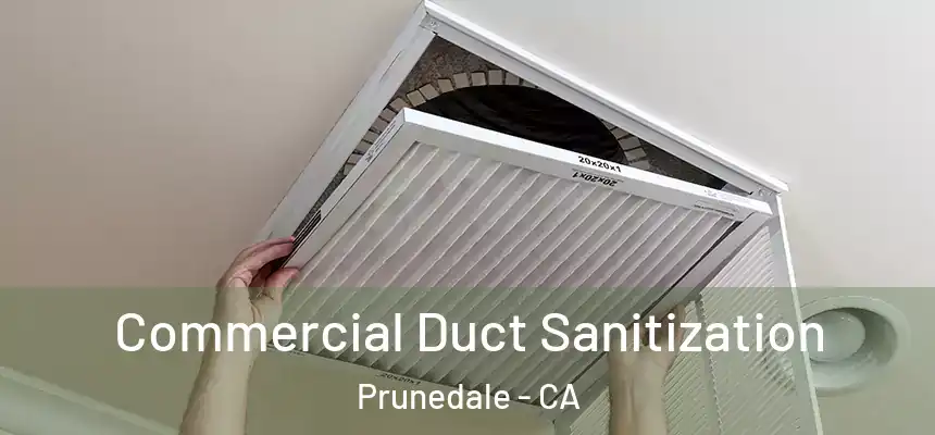 Commercial Duct Sanitization Prunedale - CA