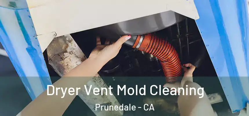 Dryer Vent Mold Cleaning Prunedale - CA