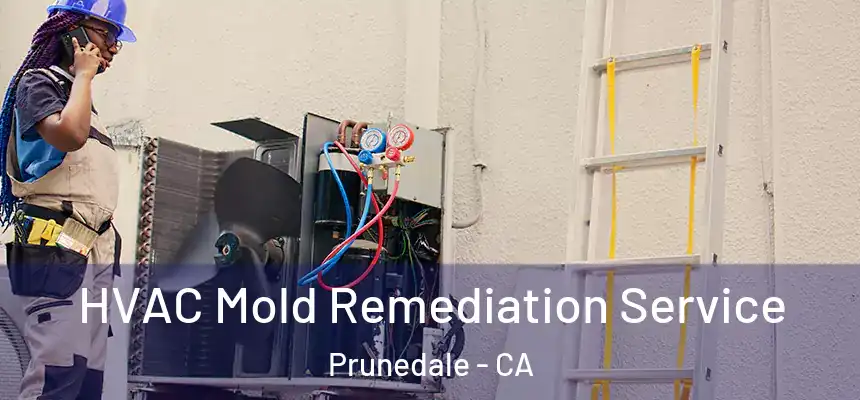 HVAC Mold Remediation Service Prunedale - CA