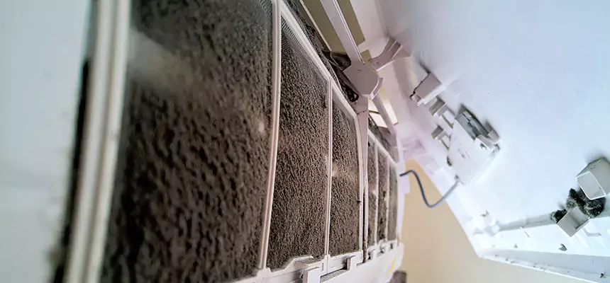 Preventive Air Duct Bacteria Removal in Prunedale