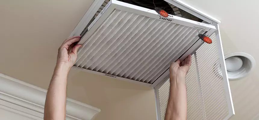 Preventive Cockroach-Proofing for Ducts in Prunedale