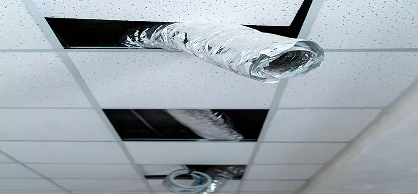 Our Air Duct Pet Hair Removal Services in Prunedale, CA