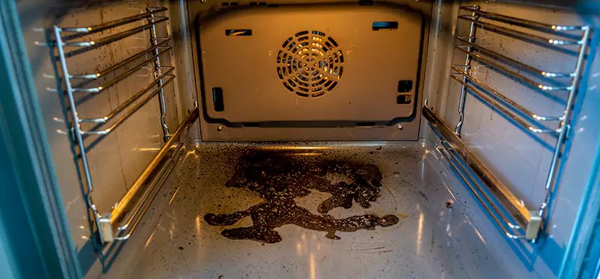 Our Dryer Vent Mold Cleaning Services in Prunedale, CA