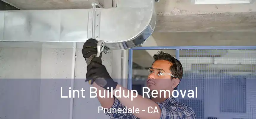 Lint Buildup Removal Prunedale - CA