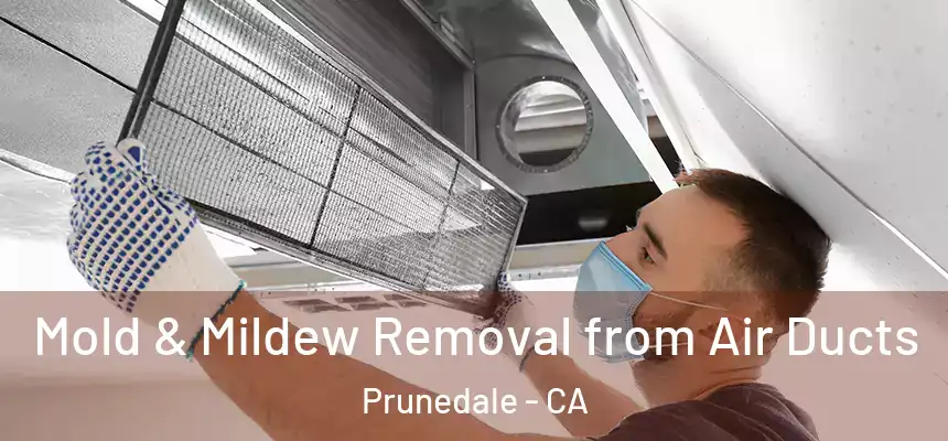  Mold & Mildew Removal from Air Ducts Prunedale - CA