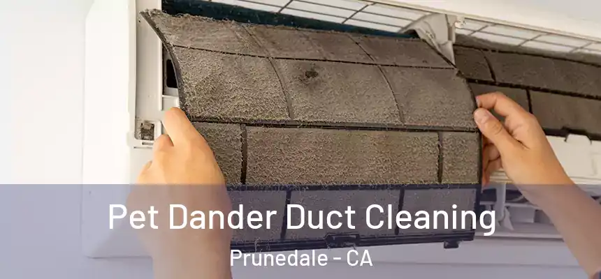 Pet Dander Duct Cleaning Prunedale - CA
