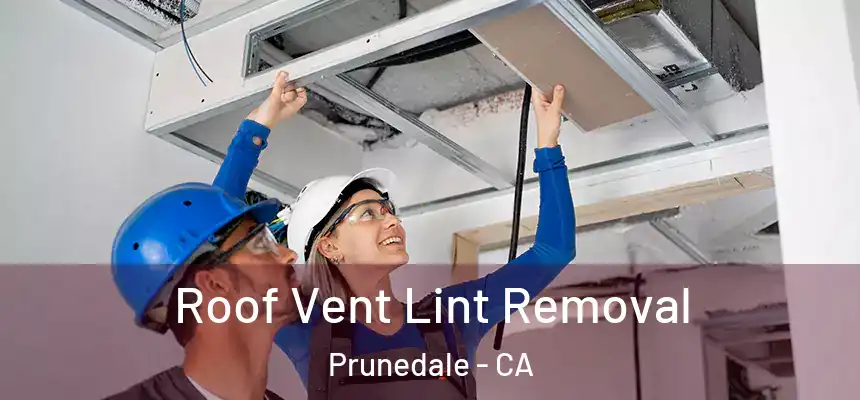 Roof Vent Lint Removal Prunedale - CA