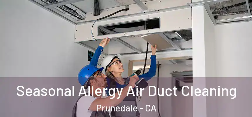 Seasonal Allergy Air Duct Cleaning Prunedale - CA