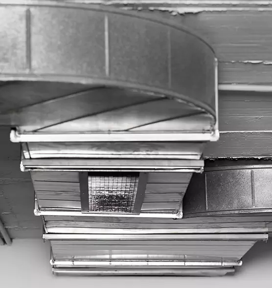 Professional Air Duct Pet Hair Removal in Prunedale, CA