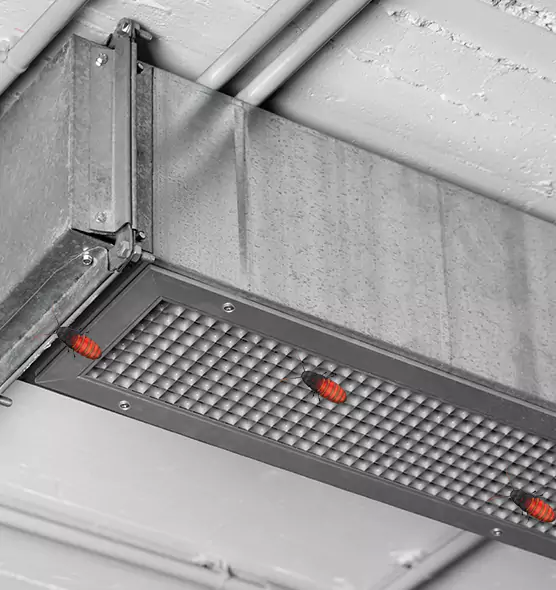 Affordable Insect Removal from Air Ducts in Prunedale, CA