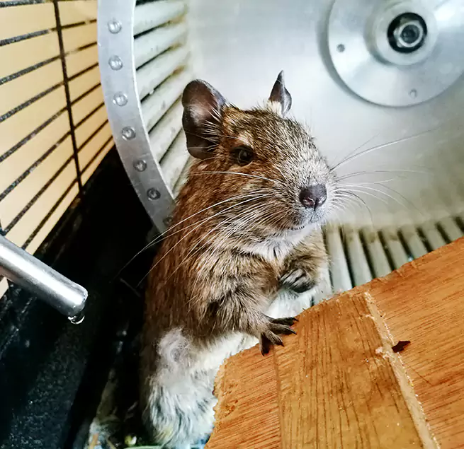 Why Homeowners & Businesses Trust Us Prunedale, CA