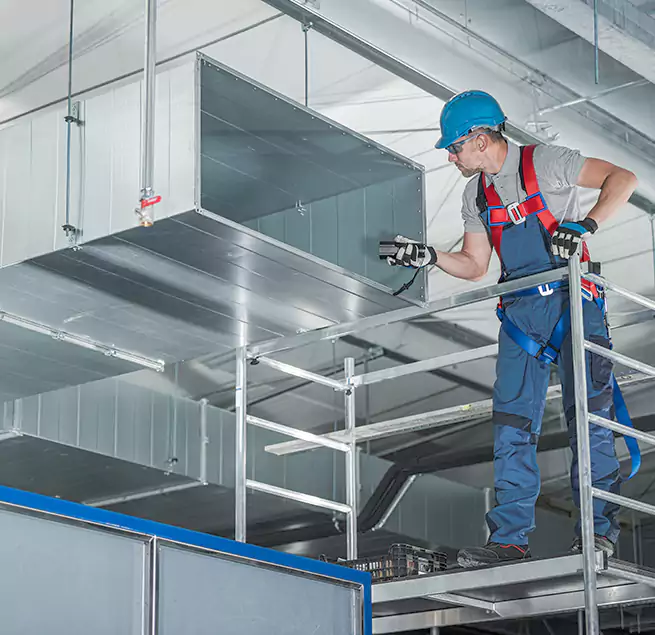 Why Homeowners & Businesses Trust Us in Prunedale, CA?