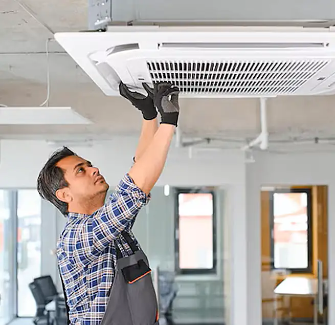 Why Homeowners & Businesses Trust Us in Prunedale, CA?