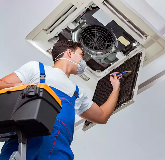 Why Homeowners & Businesses Trust Us in Prunedale, CA