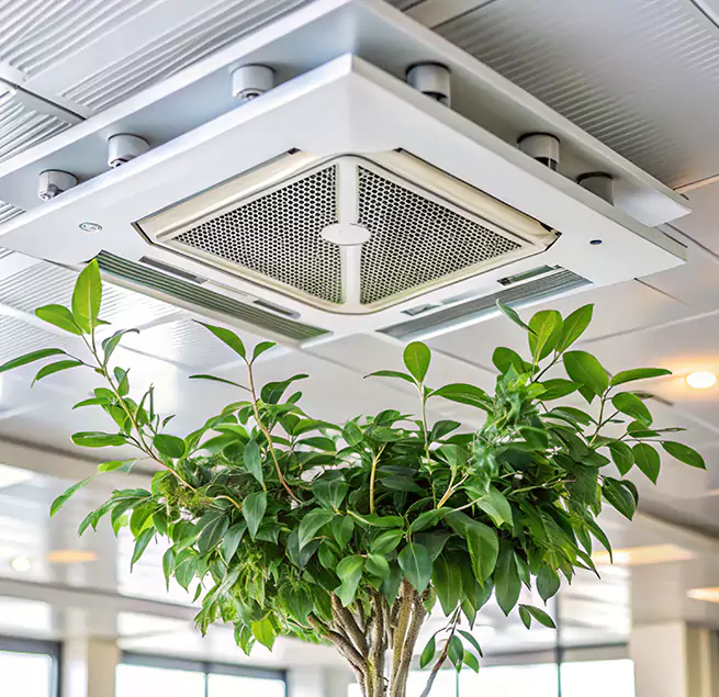 Why Homeowners & Businesses Trust Us in Prunedale, CA