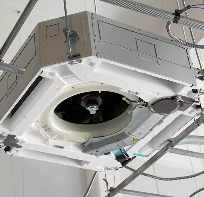 Why Homeowners & Businesses Trust Us in Prunedale, CA?