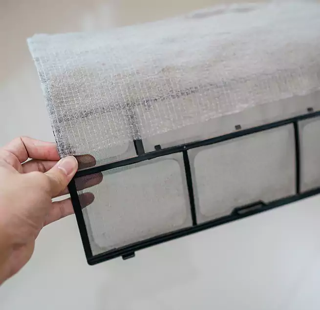 Why Homeowners & Businesses Trust Us in Prunedale, CA?