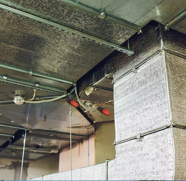 Why Homeowners & Businesses Trust Us Prunedale, CA?