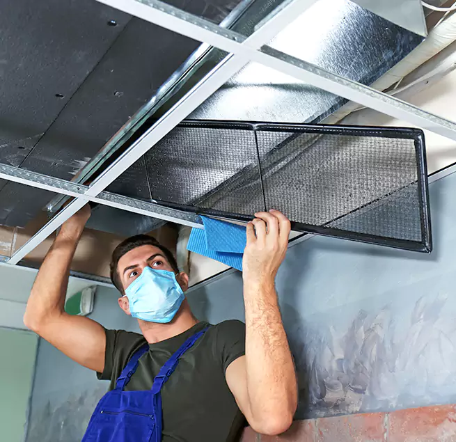 Why Homeowners & Businesses Trust Us in Prunedale, CA?