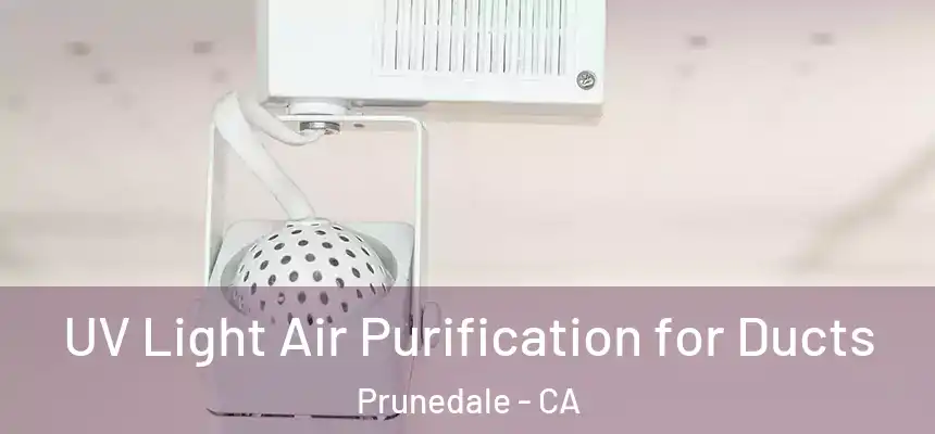  UV Light Air Purification for Ducts Prunedale - CA